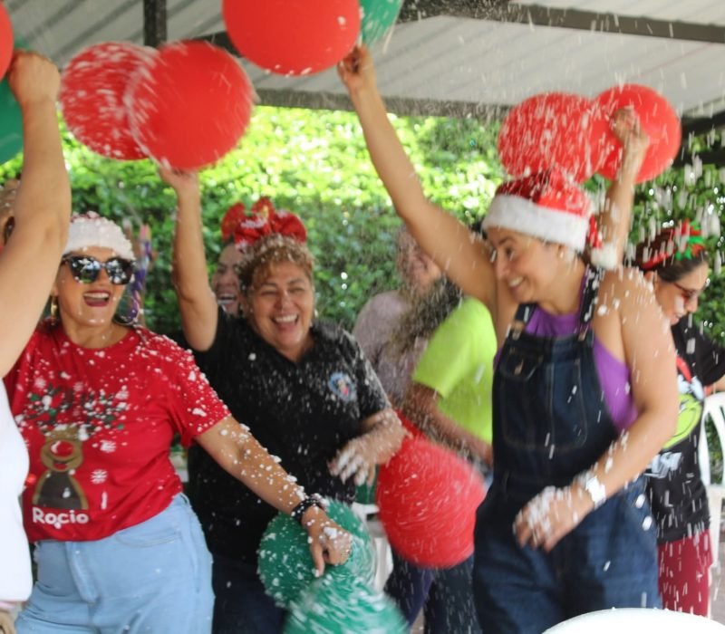 WhatsApp Image 2026-02-12 at 8.02.56 PM (2)